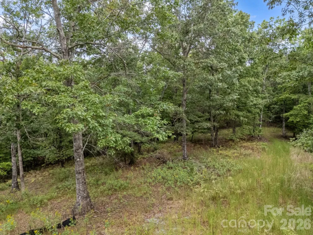 TBD Highland Farms Road #6 Mill Spring, NC 28756
