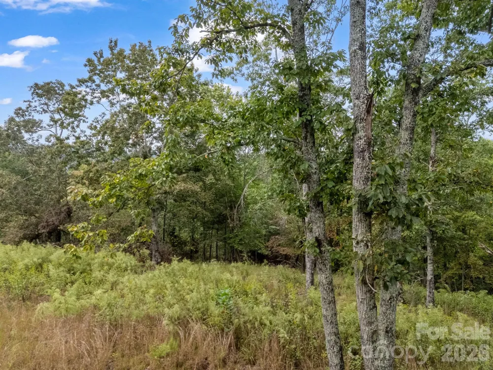 TBD Highland Farms Road #6 Mill Spring, NC 28756