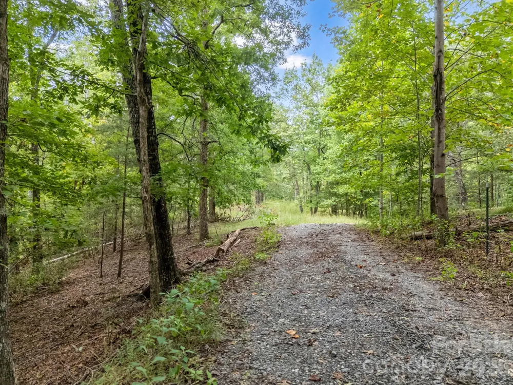 TBD Highland Farms Road #6 Mill Spring, NC 28756