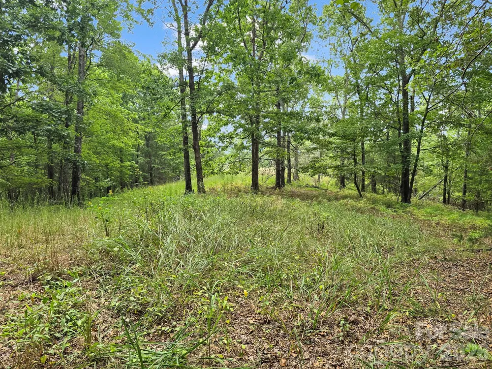 TBD Highland Farms Road #6 Mill Spring, NC 28756