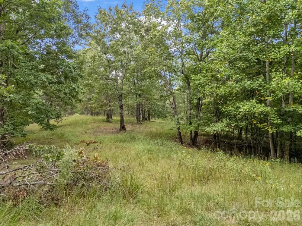 TBD Highland Farms Road #6 Mill Spring, NC 28756