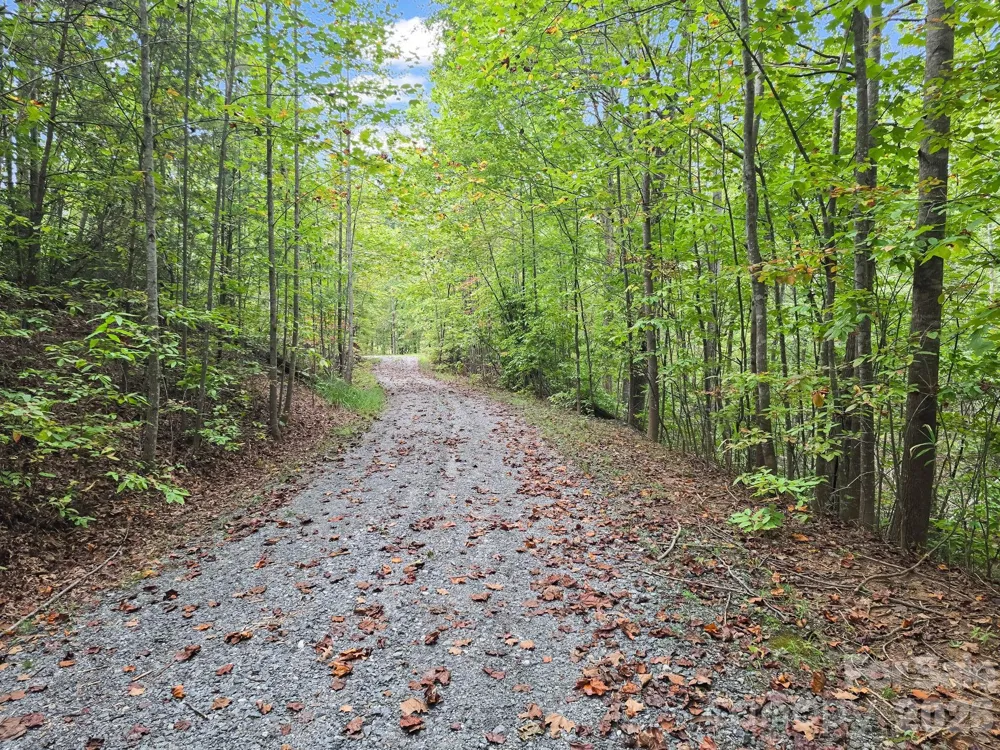 TBD Highland Farms Road #6 Mill Spring, NC 28756