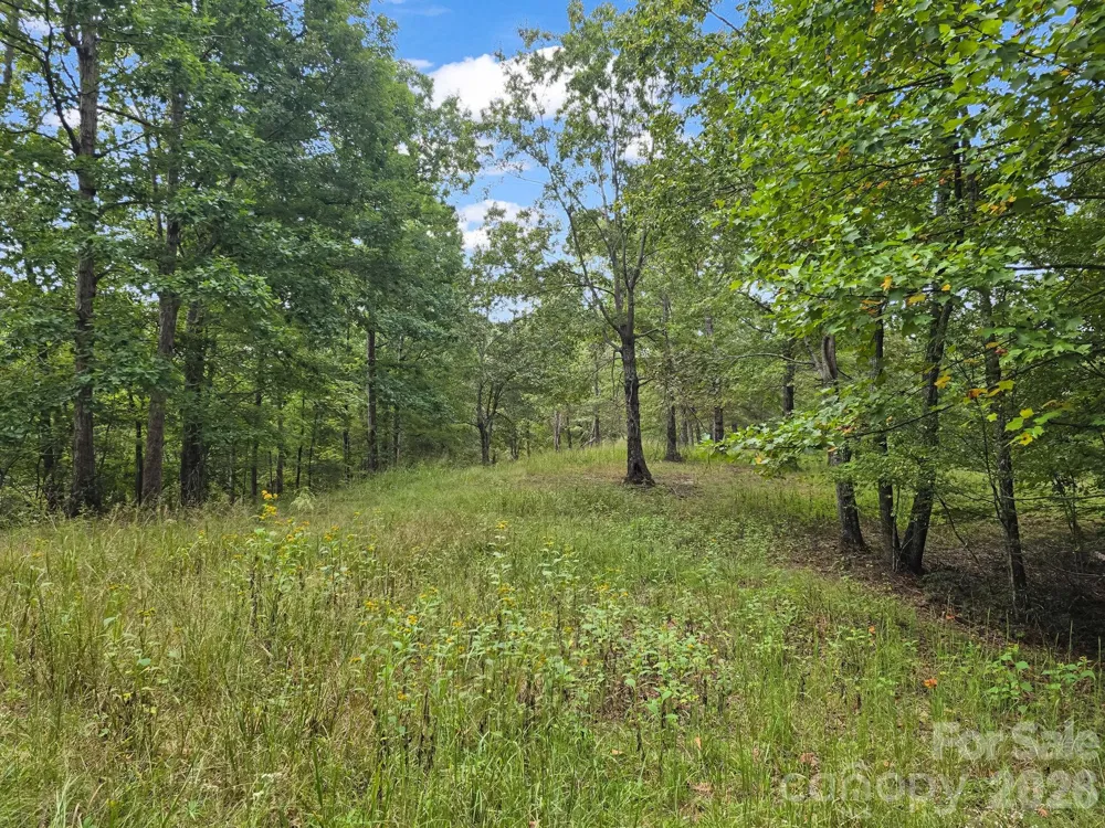TBD Highland Farms Road #6 Mill Spring, NC 28756
