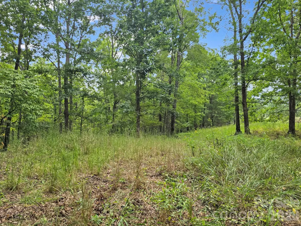 TBD Highland Farms Road #6 Mill Spring, NC 28756
