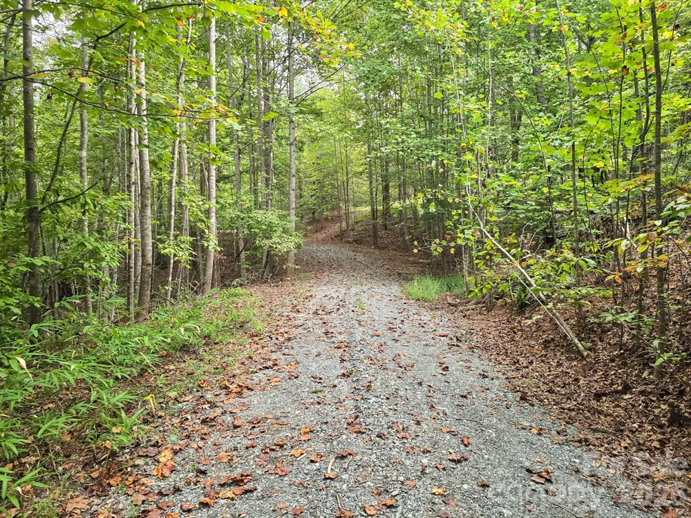 TBD Highland Farms Road #6 Mill Spring, NC 28756