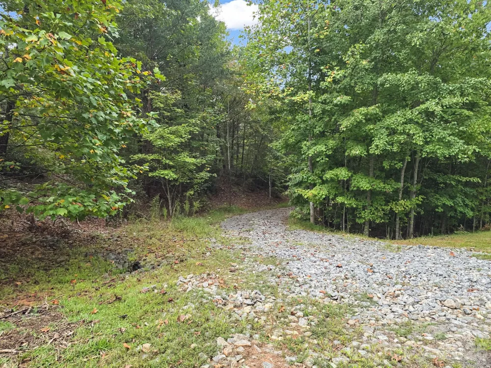 TBD Highland Farms Road #6 Mill Spring, NC 28756
