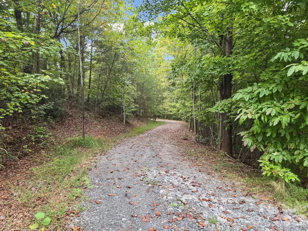 TBD Highland Farms Road #6 Mill Spring, NC 28756