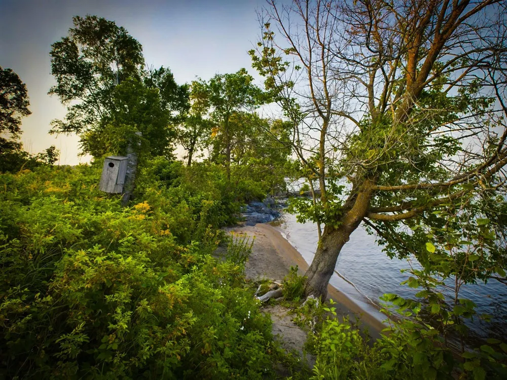 1 Birch Island Angle Inlet, MN 56711