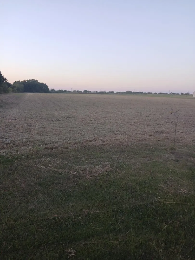 1035 Holder Road Forreston, TX 76041