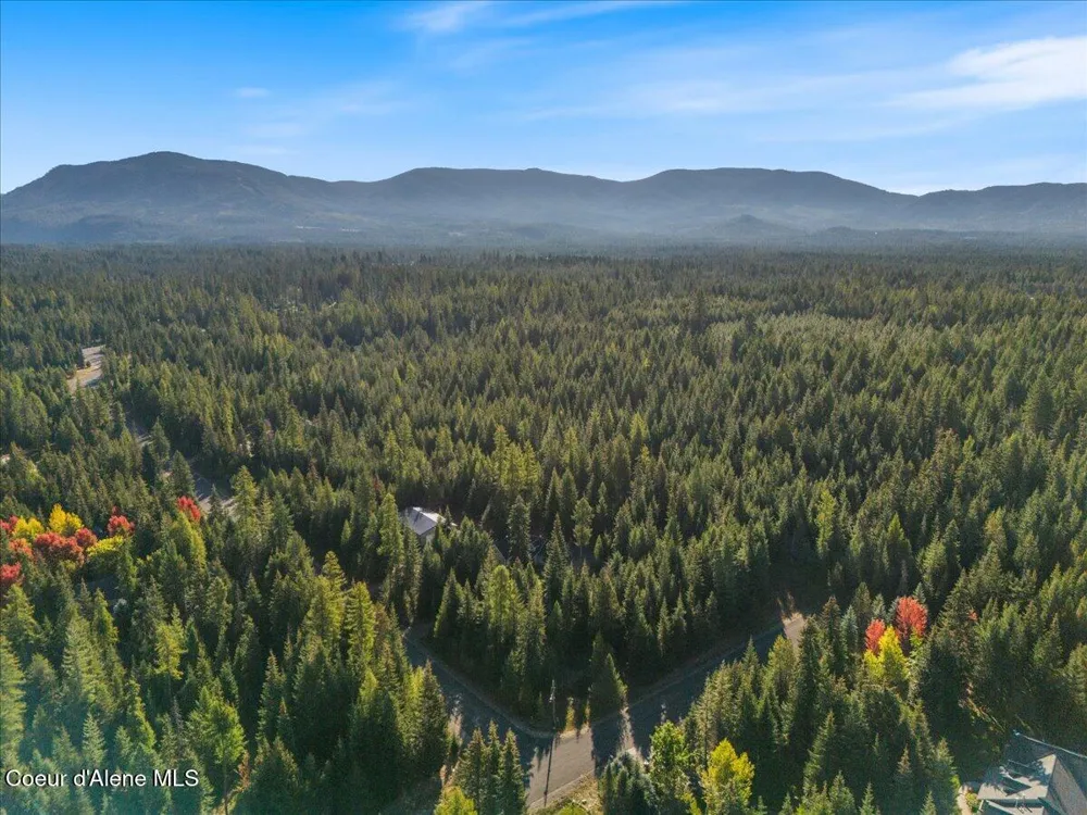 10050 E DUCE ROAD Athol, ID 83801