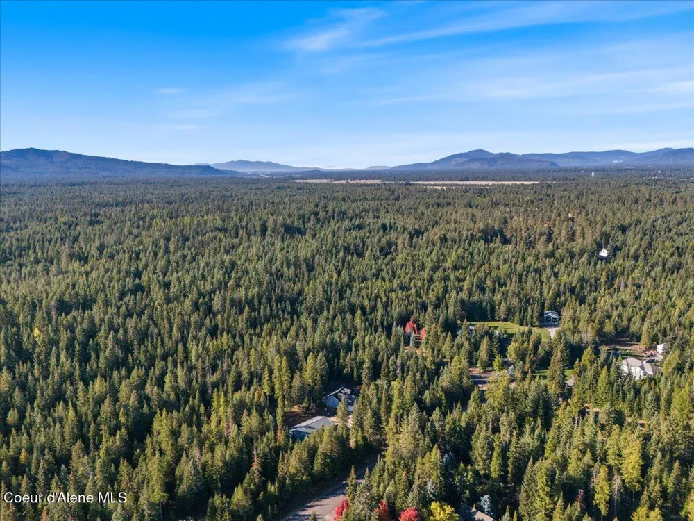 10050 E DUCE ROAD Athol, ID 83801