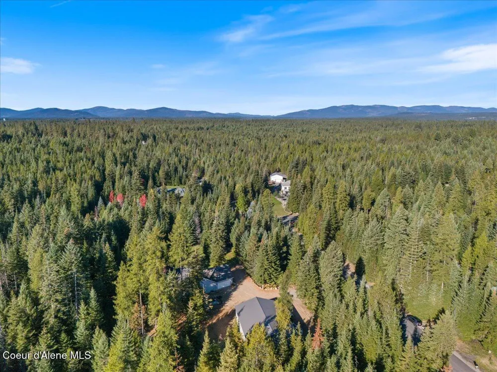 10050 E DUCE ROAD Athol, ID 83801