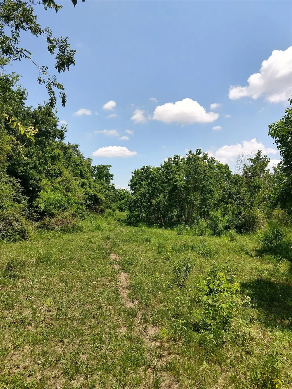 Morton Road Katy, TX 77493