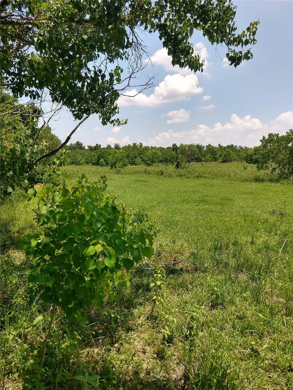 Morton Road Katy, TX 77493