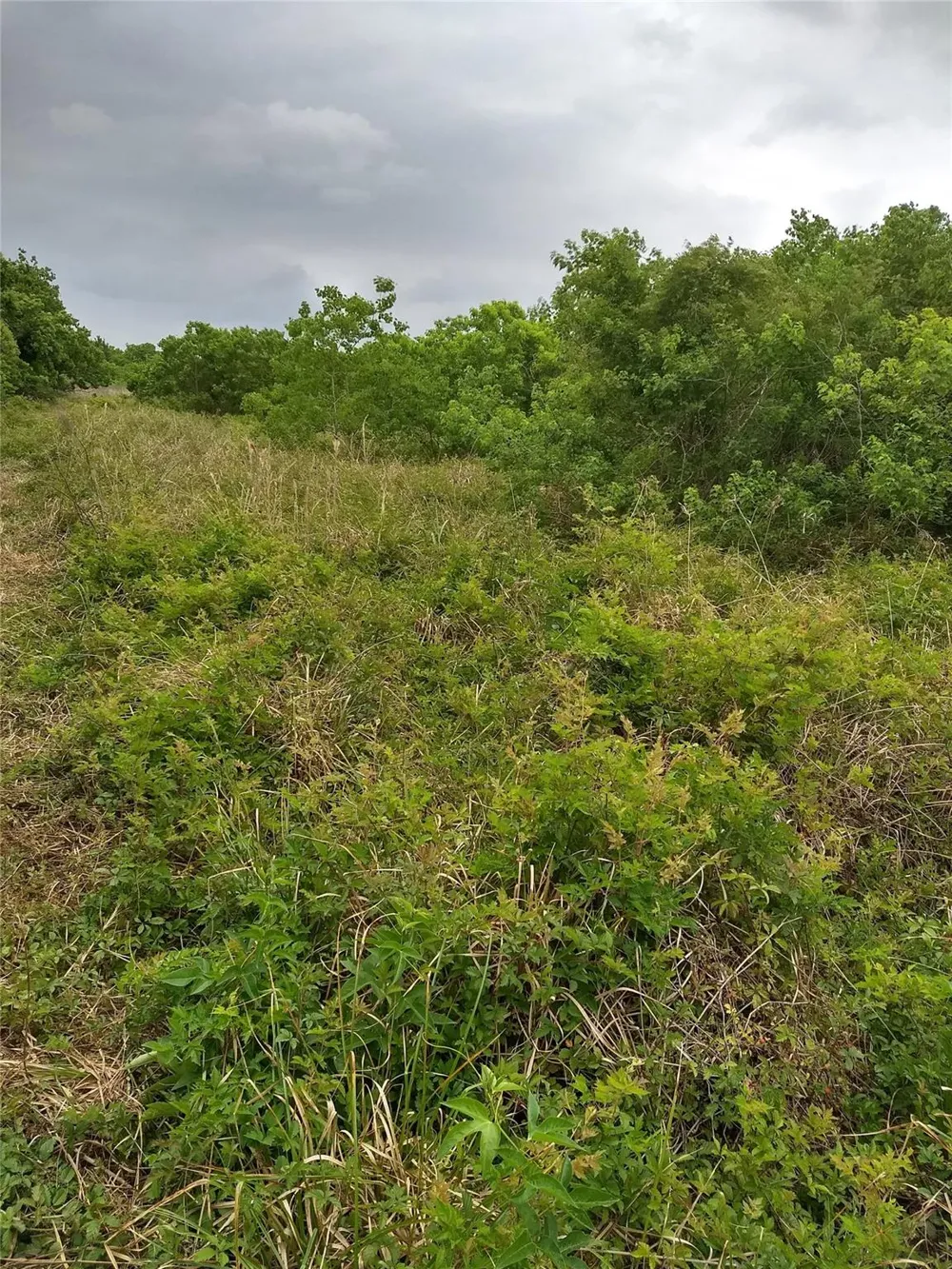 Morton Road Katy, TX 77493