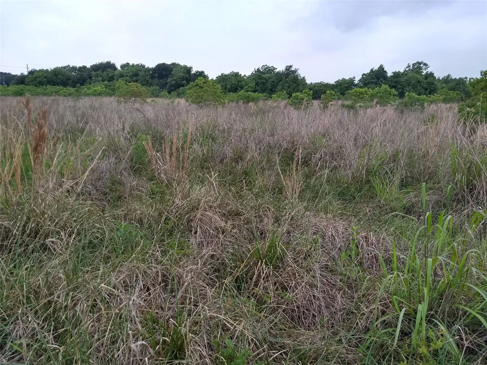 Morton Road Katy, TX 77493