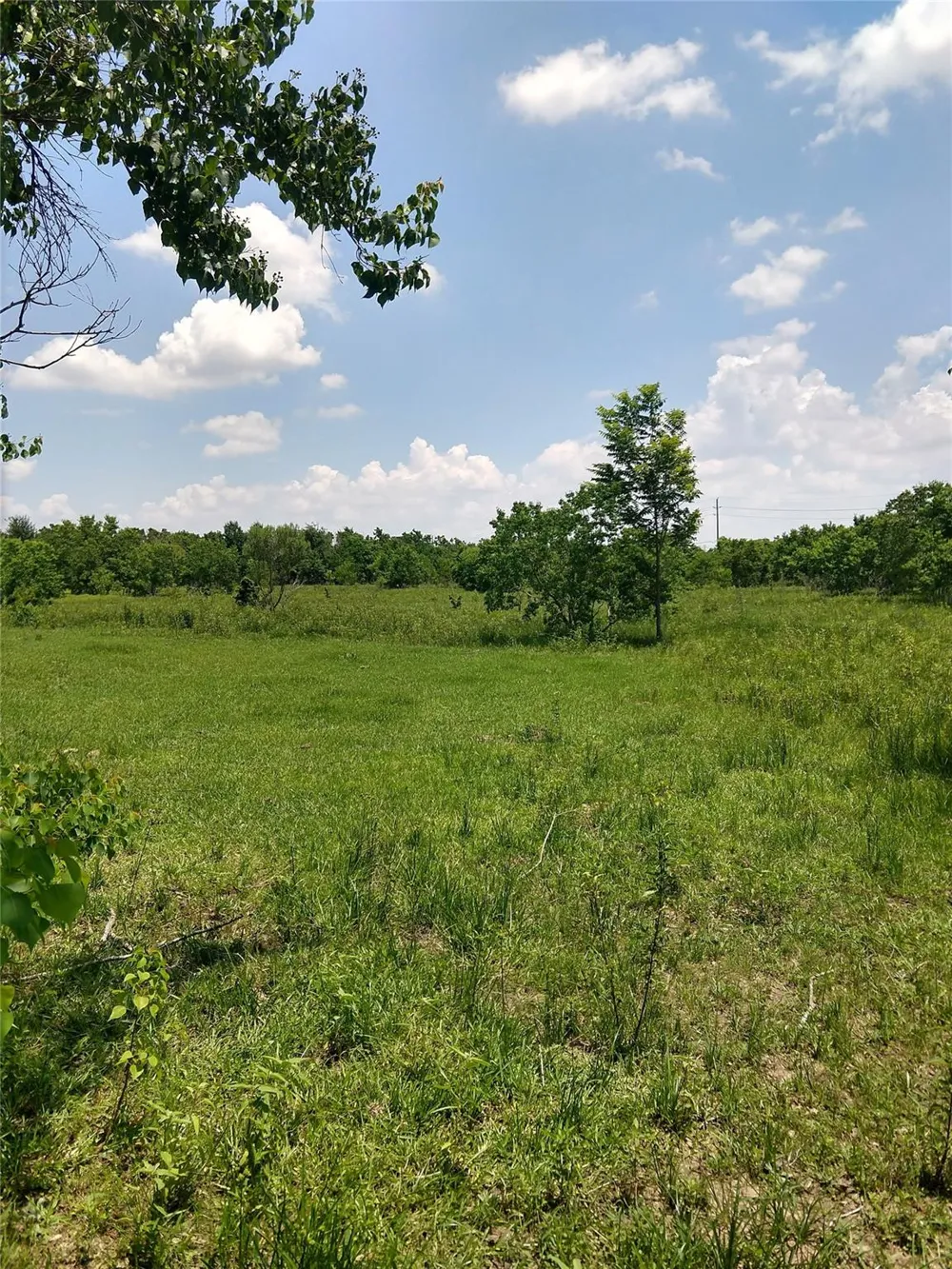 Morton Road Katy, TX 77493