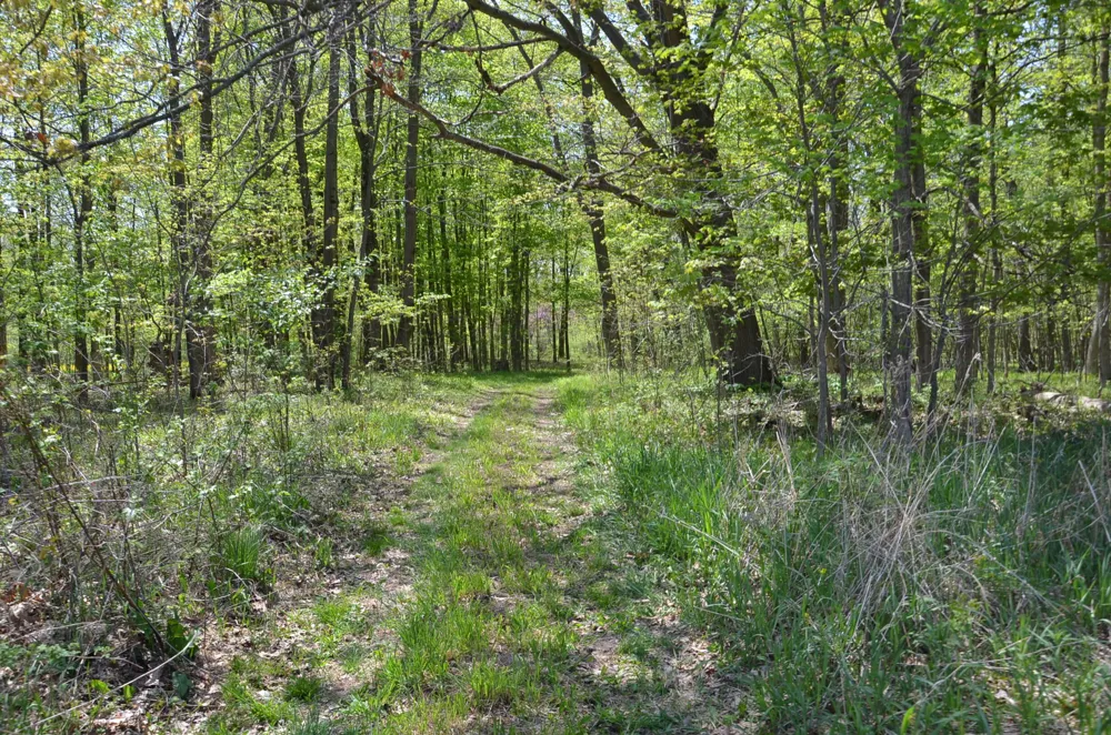 2255 River Road Hastings Charter Township, MI 49058
