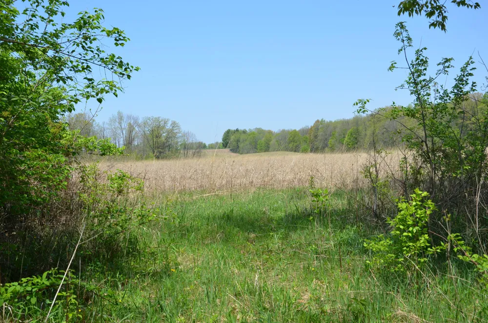 2255 River Road Hastings Charter Township, MI 49058