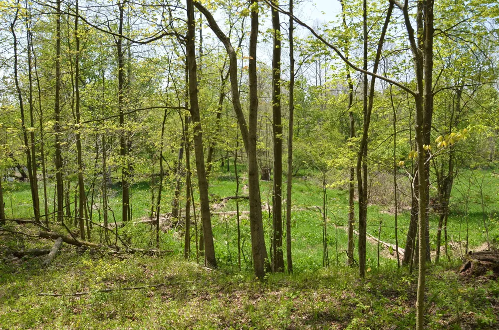 2255 River Road Hastings Charter Township, MI 49058