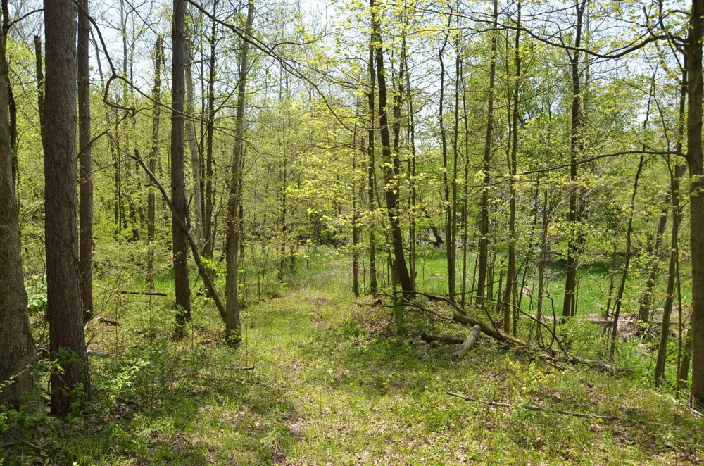 2255 River Road Hastings Charter Township, MI 49058