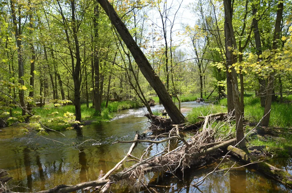 2255 River Road Hastings Charter Township, MI 49058
