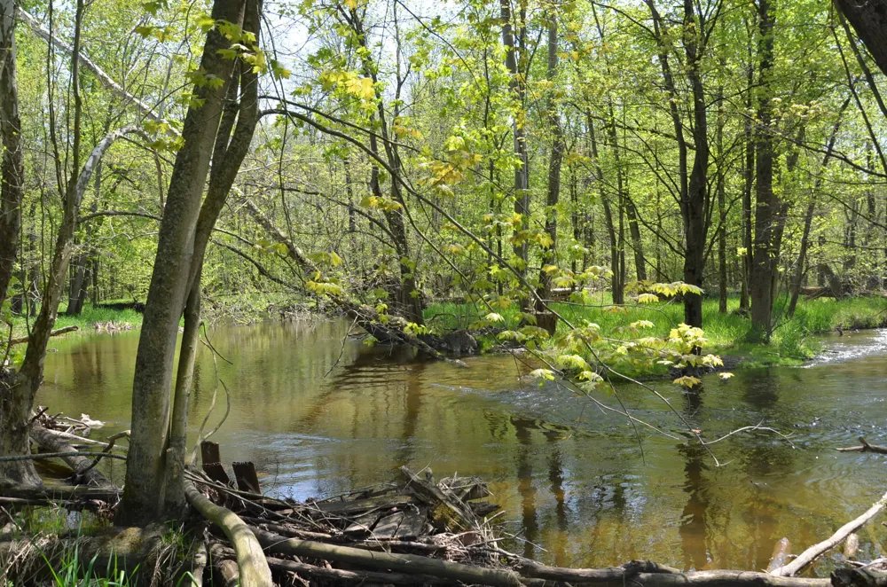 2255 River Road Hastings Charter Township, MI 49058