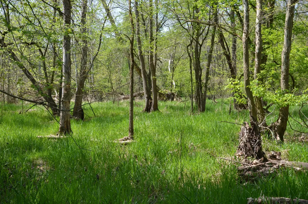 2255 River Road Hastings Charter Township, MI 49058