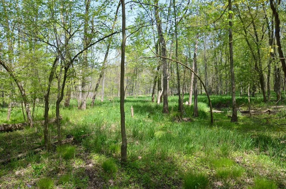 2255 River Road Hastings Charter Township, MI 49058