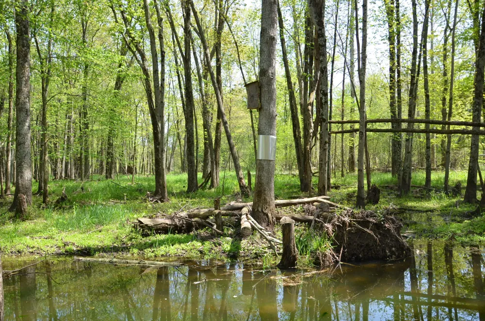 2255 River Road Hastings Charter Township, MI 49058