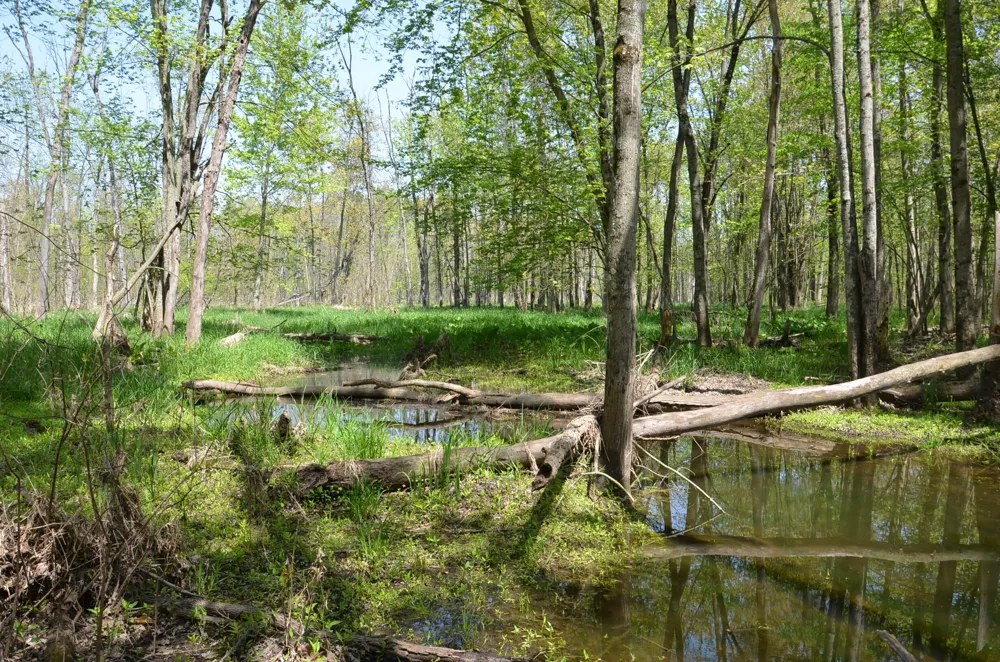 2255 River Road Hastings Charter Township, MI 49058