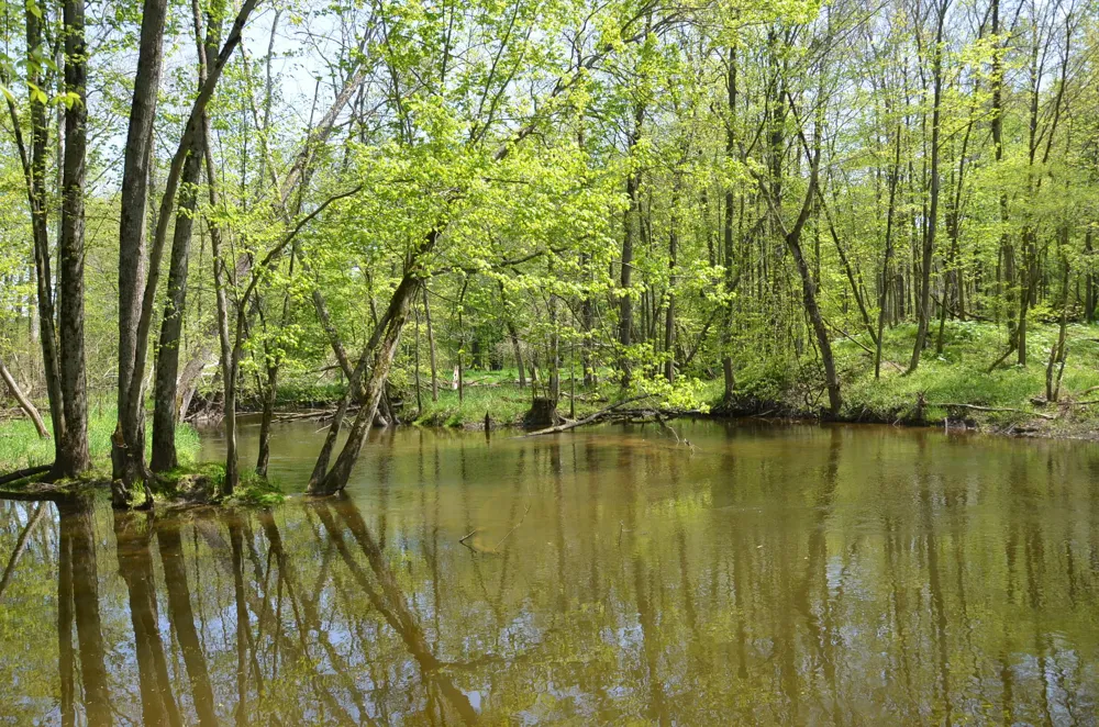 2255 River Road Hastings Charter Township, MI 49058