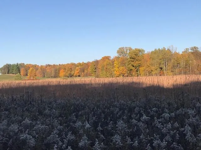 2255 River Road Hastings Charter Township, MI 49058