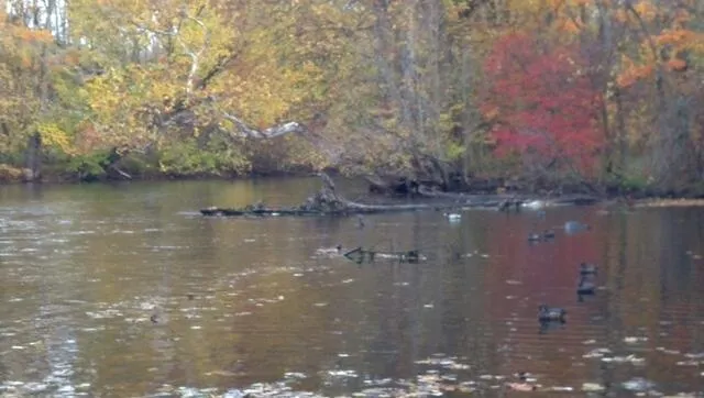 2255 River Road Hastings Charter Township, MI 49058