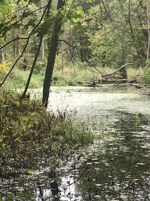 2255 River Road Hastings Charter Township, MI 49058