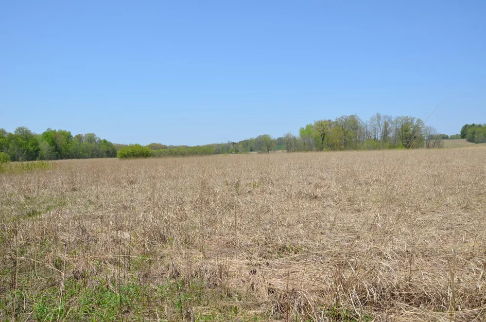 2255 River Road Hastings Charter Township, MI 49058