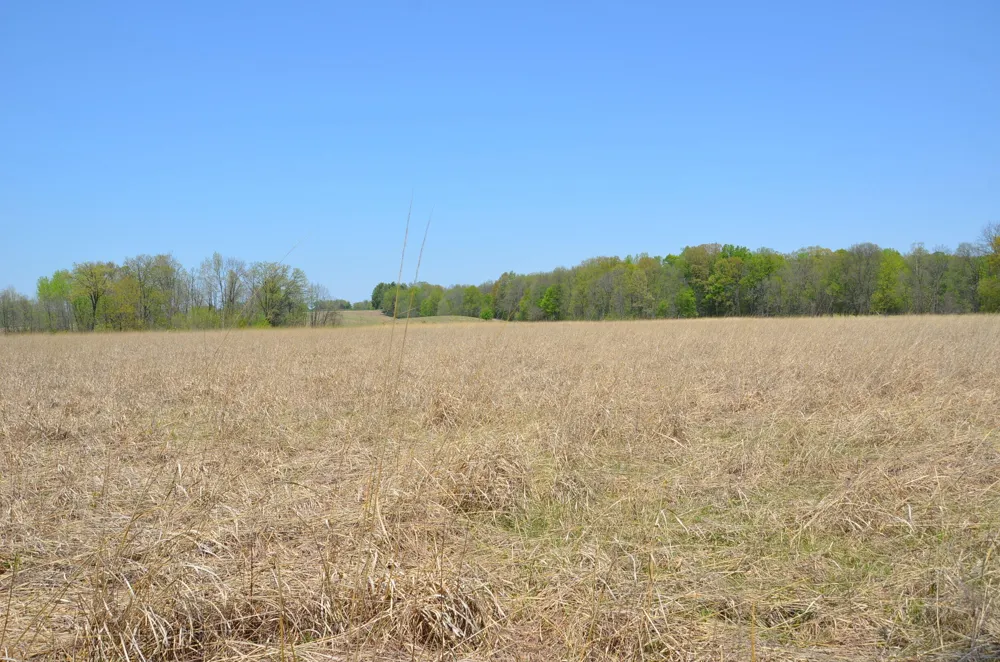 2255 River Road Hastings Charter Township, MI 49058