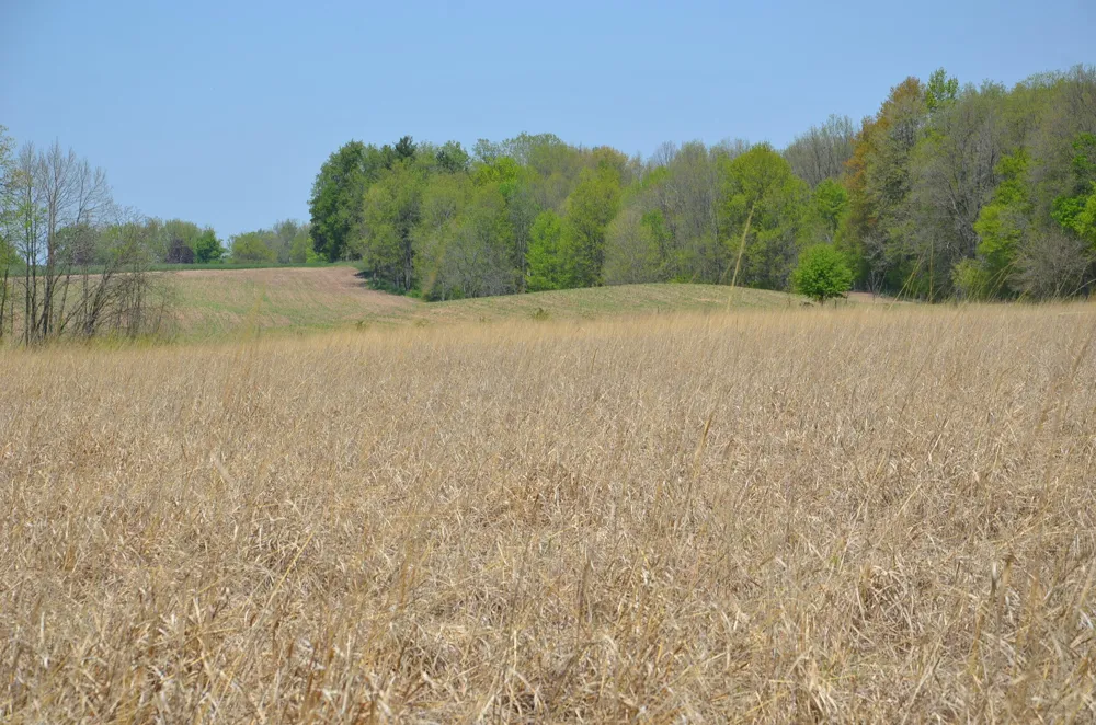 2255 River Road Hastings Charter Township, MI 49058