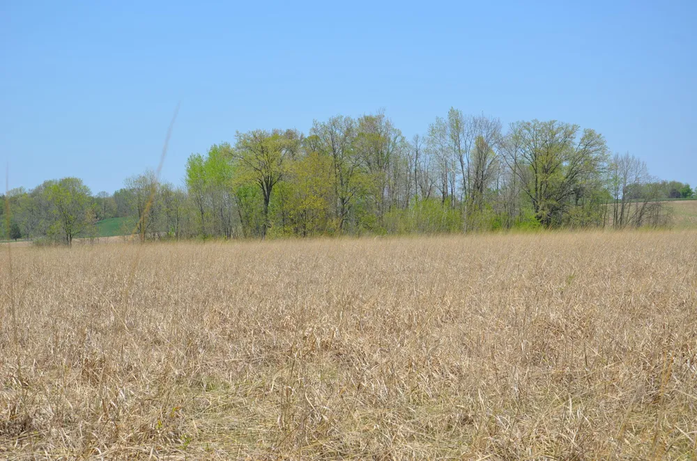 2255 River Road Hastings Charter Township, MI 49058