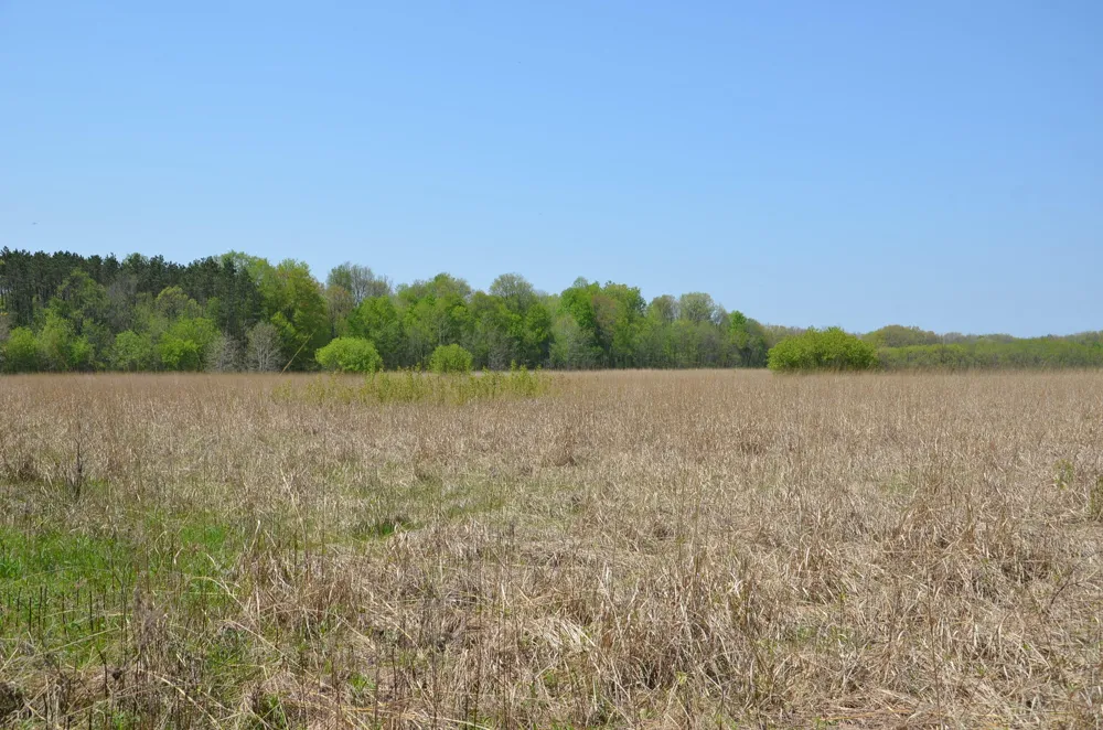 2255 River Road Hastings Charter Township, MI 49058