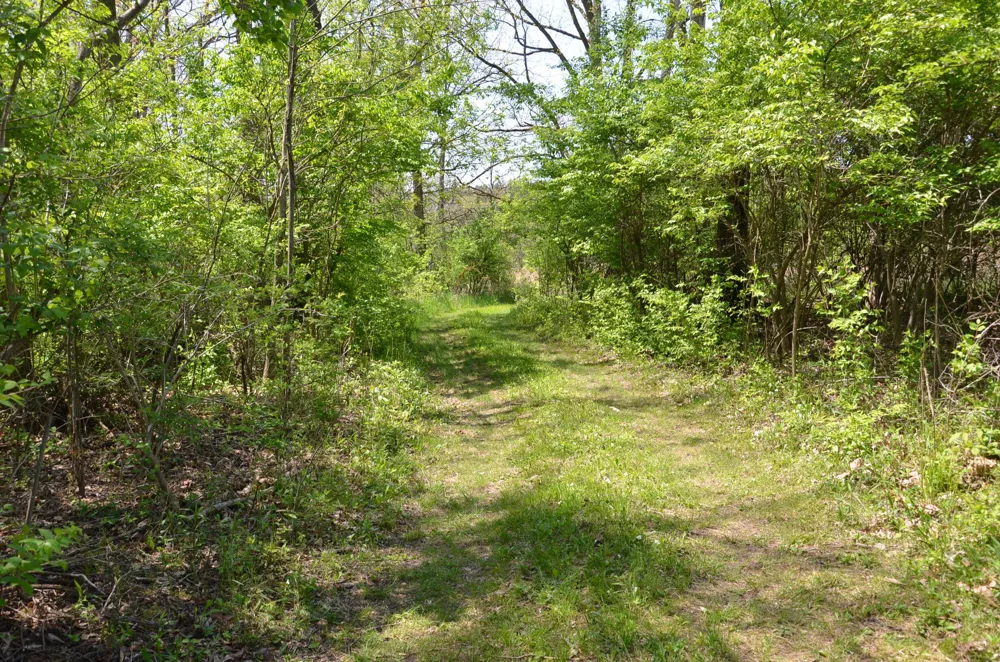 2255 River Road Hastings Charter Township, MI 49058