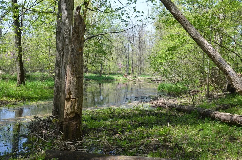 2255 River Road Hastings Charter Township, MI 49058