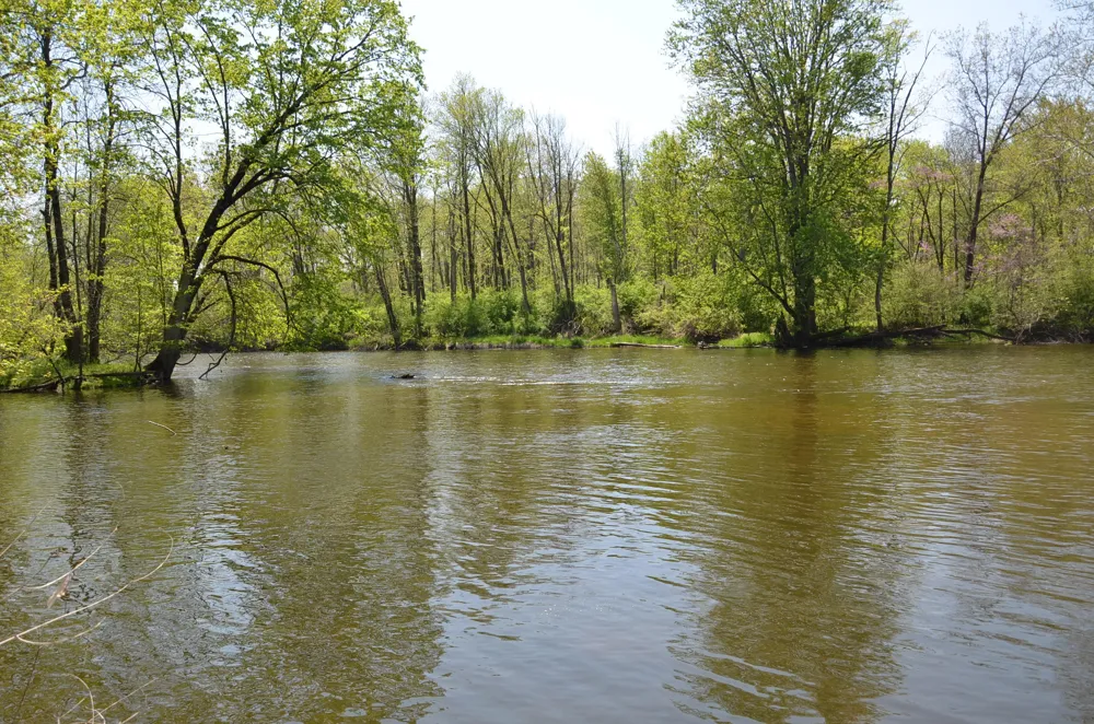 2255 River Road Hastings Charter Township, MI 49058