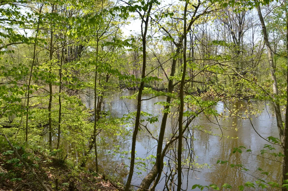 2255 River Road Hastings Charter Township, MI 49058