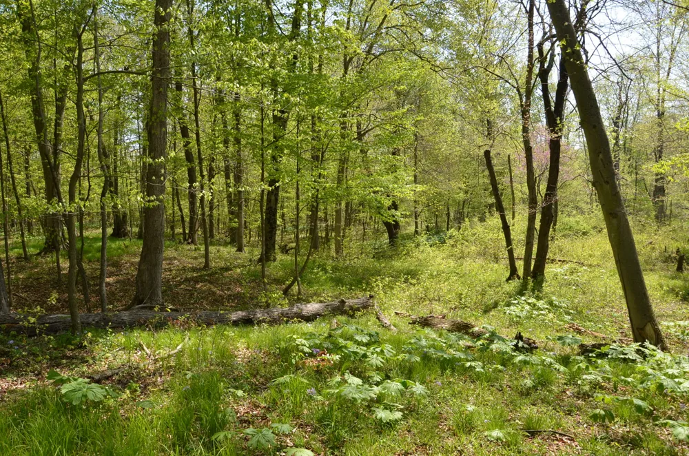 2255 River Road Hastings Charter Township, MI 49058