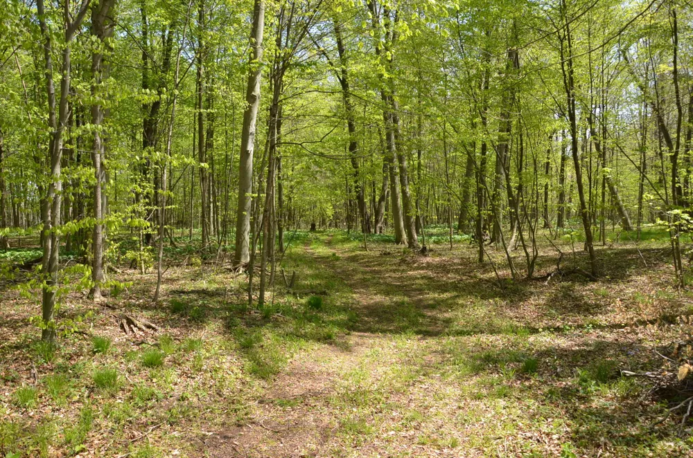2255 River Road Hastings Charter Township, MI 49058