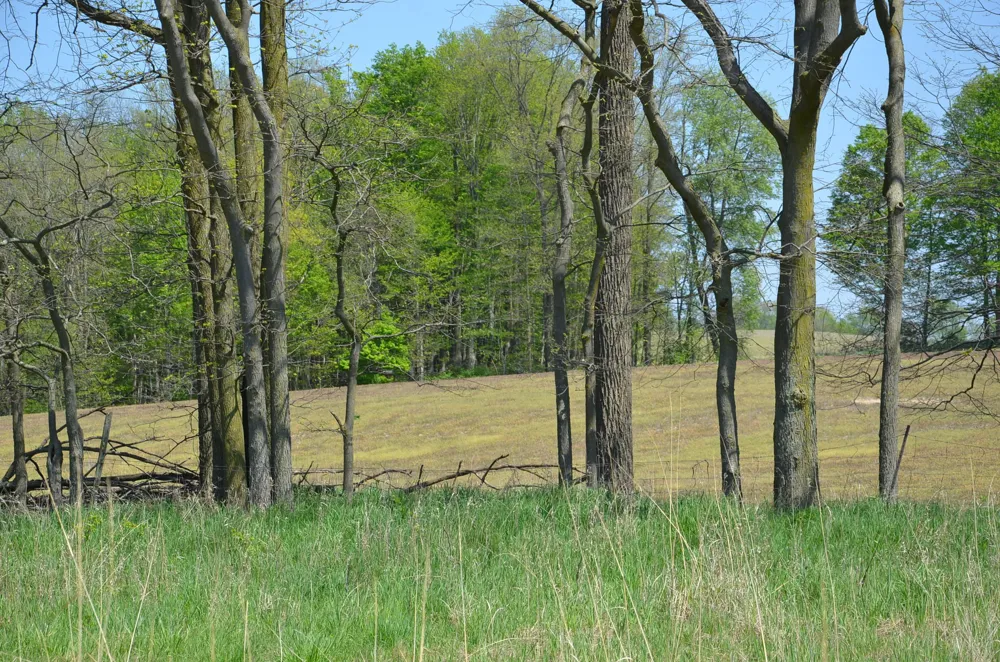 2255 River Road Hastings Charter Township, MI 49058