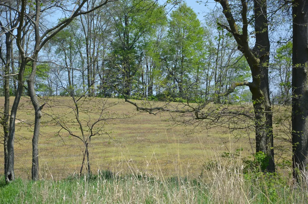 2255 River Road Hastings Charter Township, MI 49058