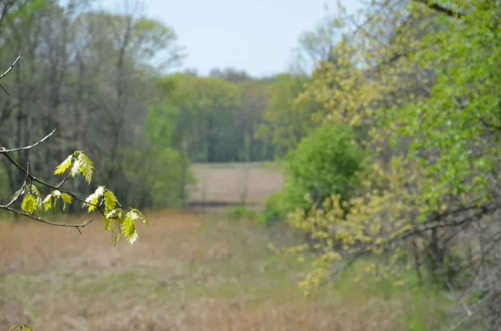2255 River Road Hastings Charter Township, MI 49058