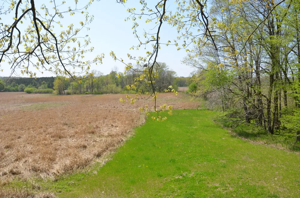 2255 River Road Hastings Charter Township, MI 49058